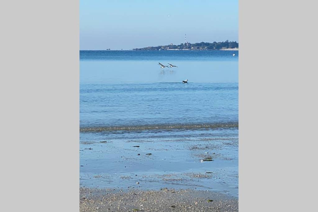 Appartement Cap Coz Sea Side Fouesnant Extérieur photo